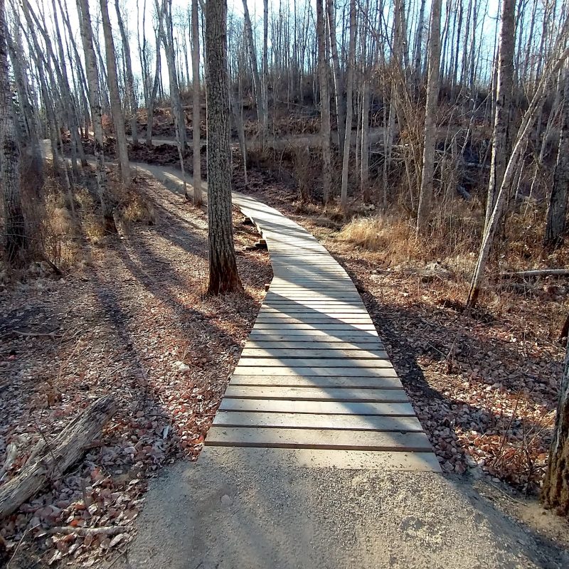 2022 Cold Lake XC Trail bridge CC