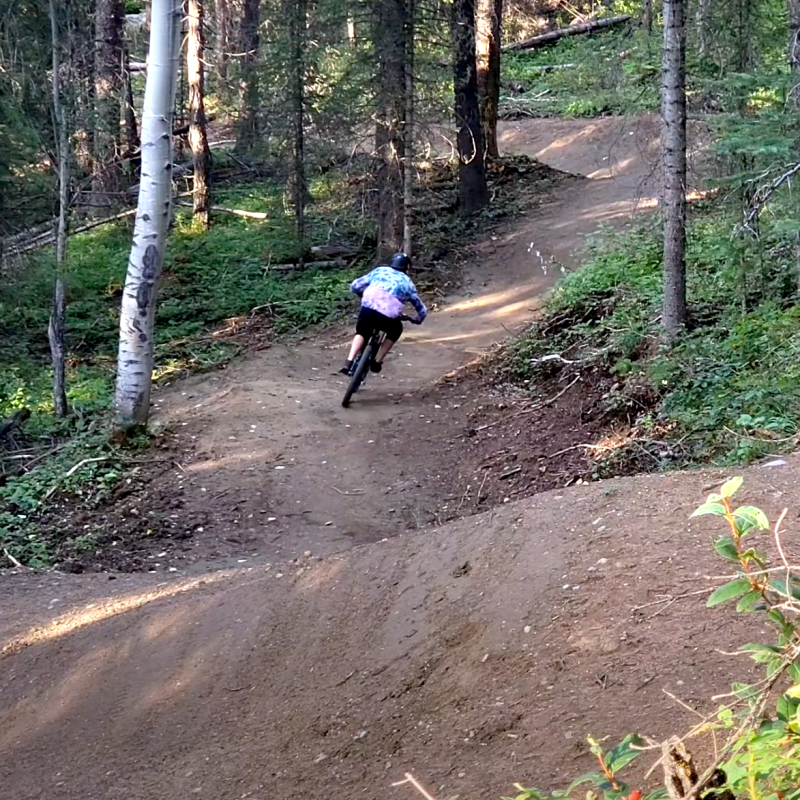 20 XX Bighorn Blowdown Flowdown WW Baker