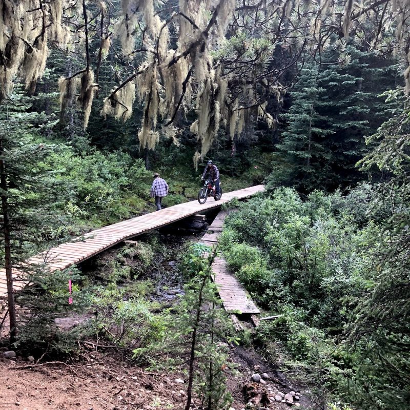 2021 Bighorn Bridge Jay JH