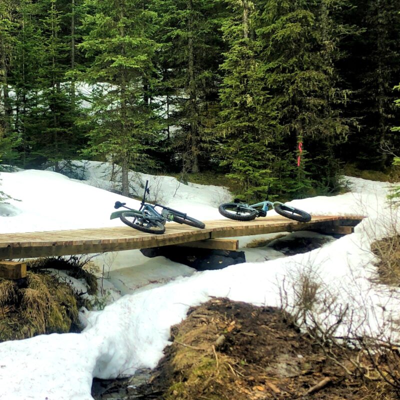 2022 Bighorn Trail JH 13