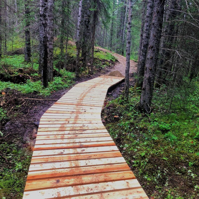 2022 Bighorn Trail Bridge JH 18