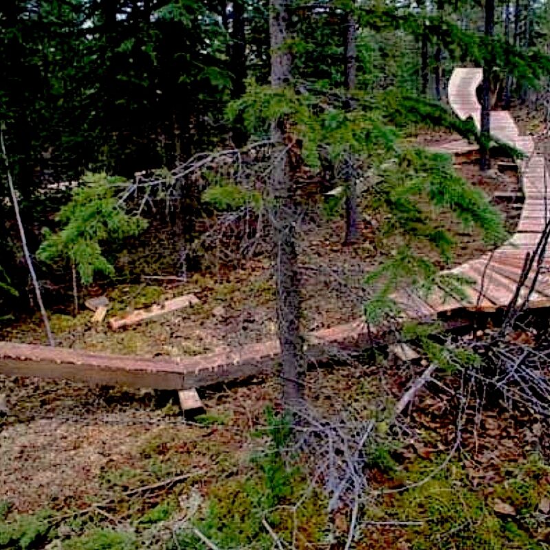 2006 Burns Lake ladder bridge feature