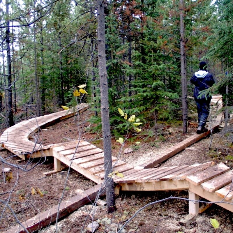 2006 Burns Lake Boardwalk 1