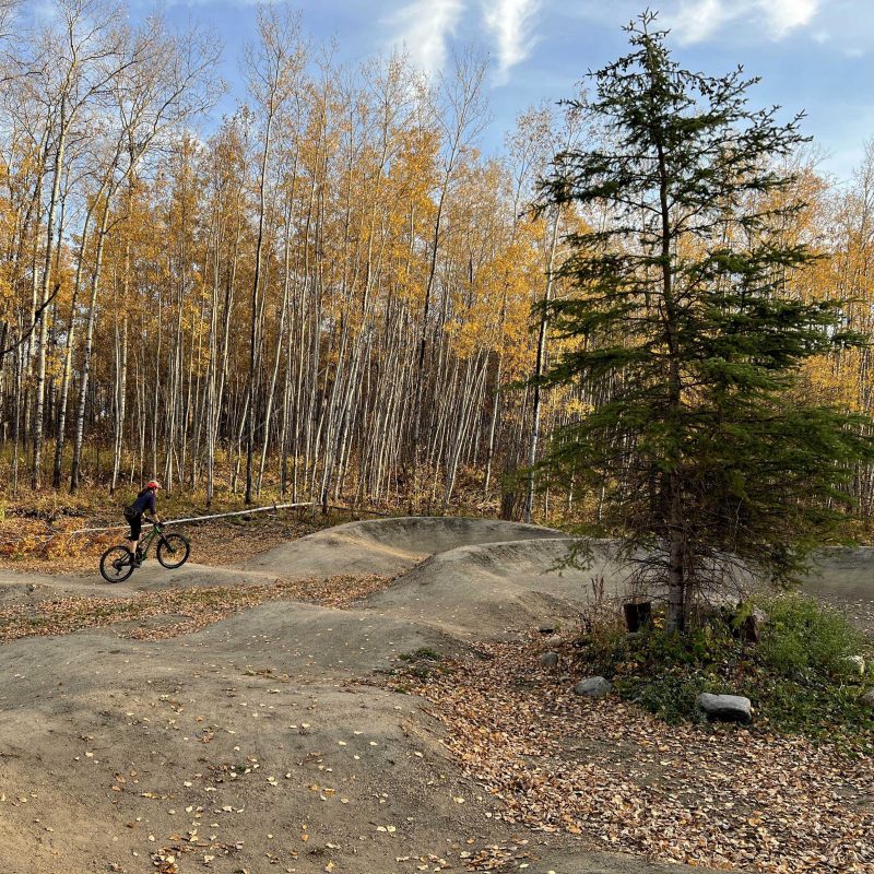 2022 Cold Lake PT Ebeg Ash JH crop