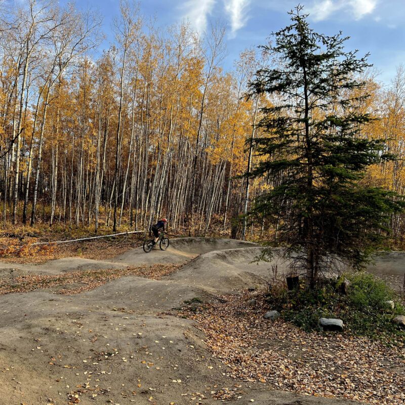 2022 Cold Lake PT AJH crop