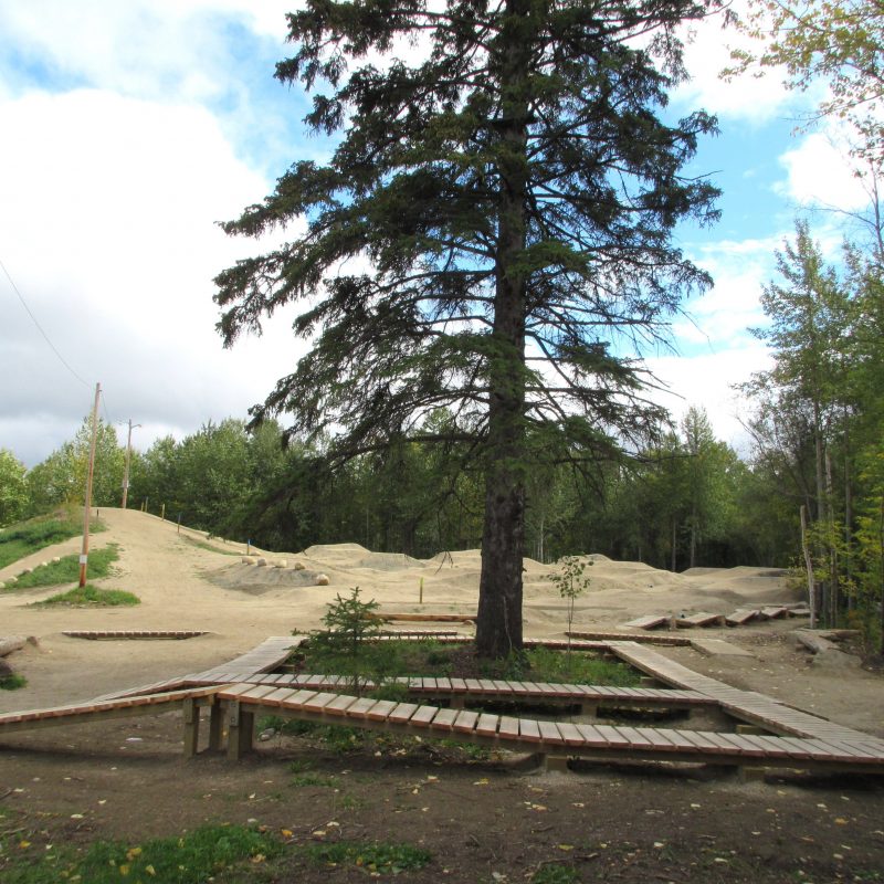 2015 Fox Creek BP Skills Tree JH