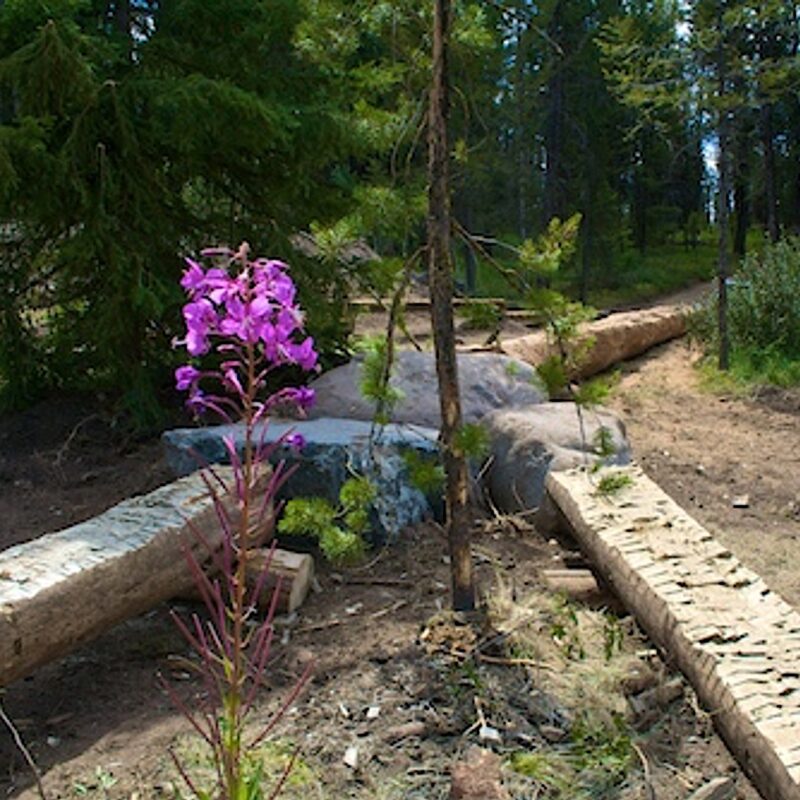 2008 Logan Lake BP Log Ride JH