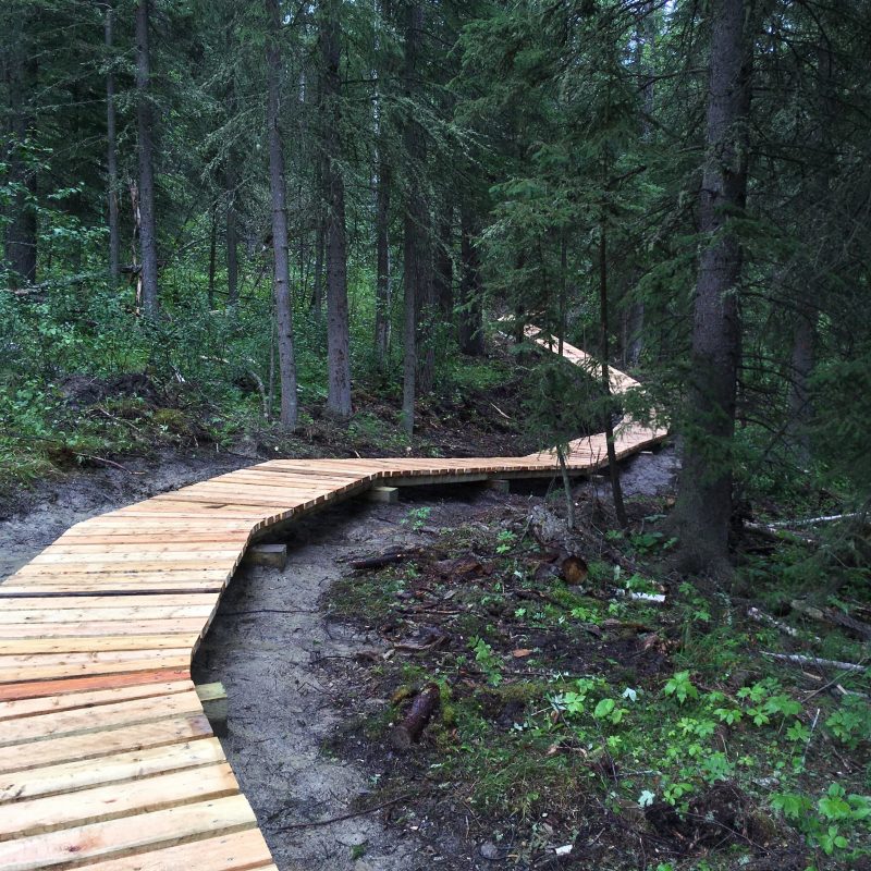 2017 Whitecourt BP boardwalk JH