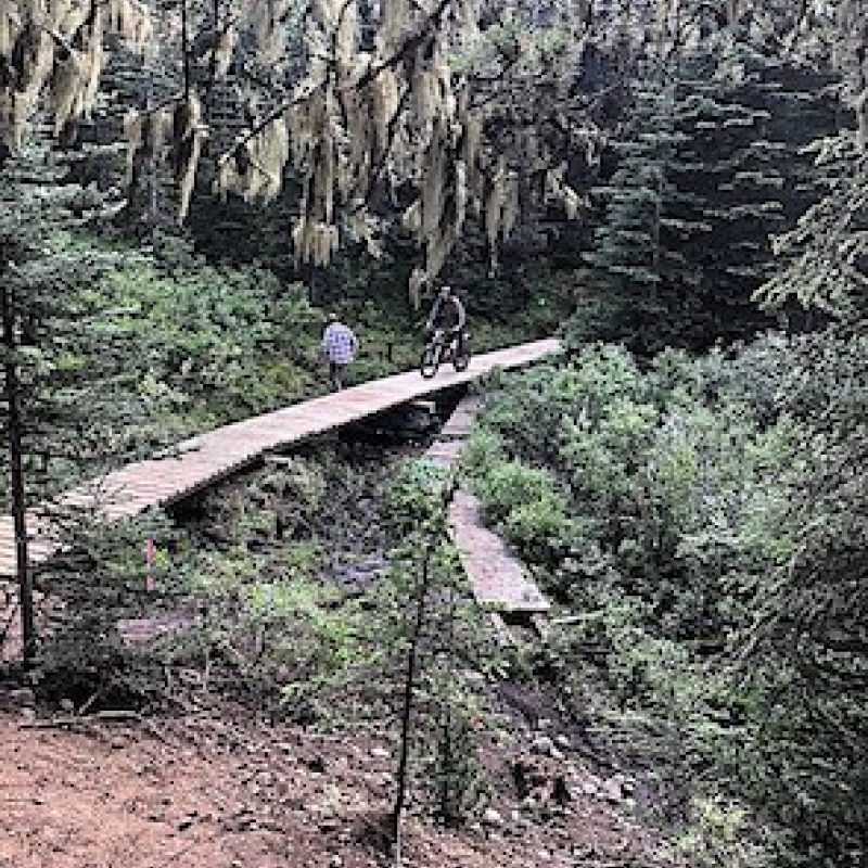 Bighorn top bridge in heavy drainage replace geobag piers copy
