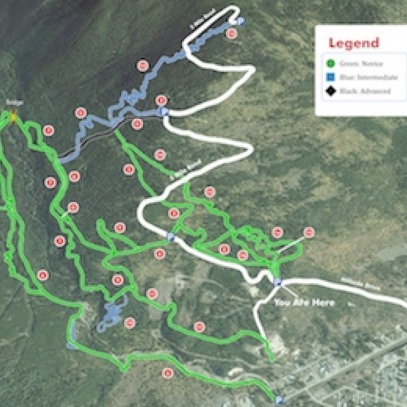 Edit Valemount Bike Park 2016 Overview Final page 001 copy 640x480